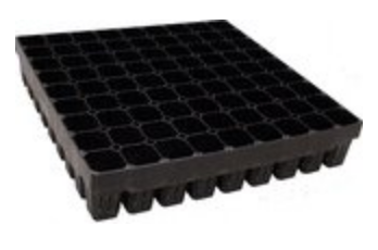 Plantek 81 F